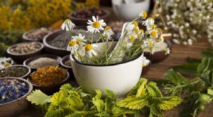 Muere niña tras ingerir bebida a base de plantas medicinales