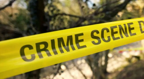 Mujer mata a sus dos hijos metiéndolos en un horno