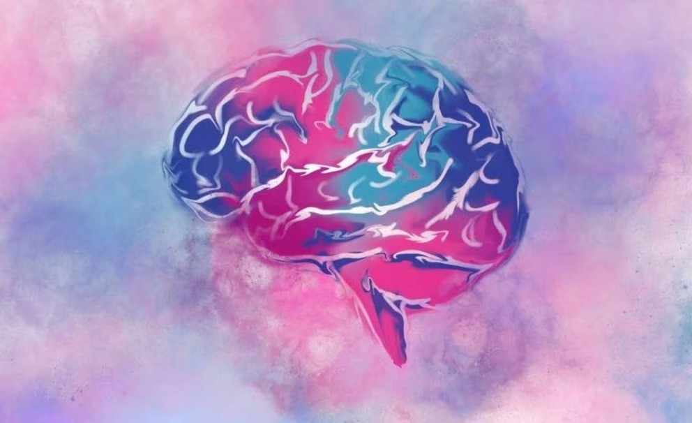 No hay evidencia de que los adultos con autismo sean más vulnerables a los delincuentes, según un estudio - AlbertoNews
