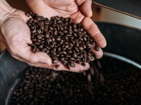 Nuevo récord en precio interno de la carga de café en Colombia | Agro | Economía