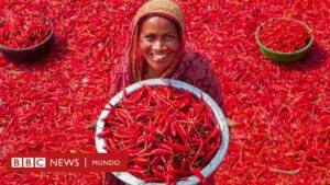 Nutrición: ¿aportan realmente beneficios para la salud las especias como el chile o la cúrcuma?