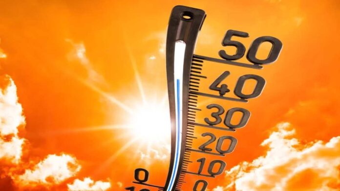 OMM: Niveles de CO2 siguen subiendo y «nos condenan a años de altas temperaturas»