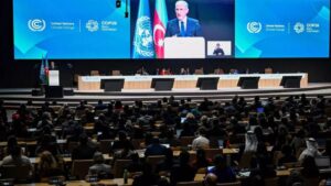 PNUD pide soluciones financieras innovadoras en la COP29 : IPS Agencia de Noticias