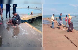 Pescadores rescatan a sexagenario que cayó al mar con su camioneta desde el muelle de Cumarebo