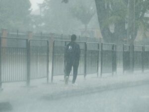 Petro no irá a la COP29: suspendió su viaje a Azerbaiyán por el 'colapso climático' | Gobierno | Economía