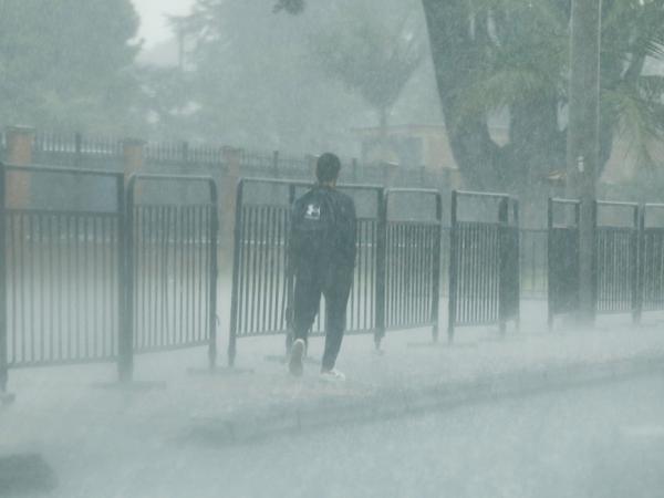 Petro no irá a la COP29: suspendió su viaje a Azerbaiyán por el 'colapso climático' | Gobierno | Economía