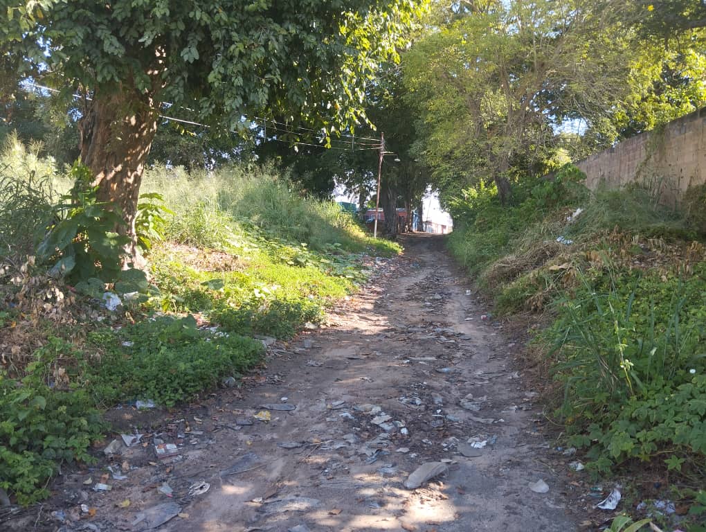 Piden saneamiento para entrada del sector El Cambao | Diario El Luchador