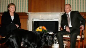Putin niega haber intentado asustar a Merkel con su perro Koni