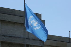 Relatora ONU teme que gobierno use la Ley Simón Bolívar para recrudecer la persecución