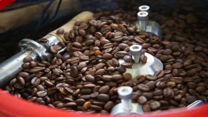 Todo listo para el primer encuentro del Café en la península de Paraguaná