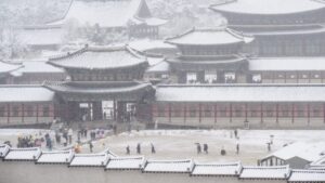 Tormenta de nieve en Seúl deja heridos, muertos y vuelos cancelados | Diario El Luchador