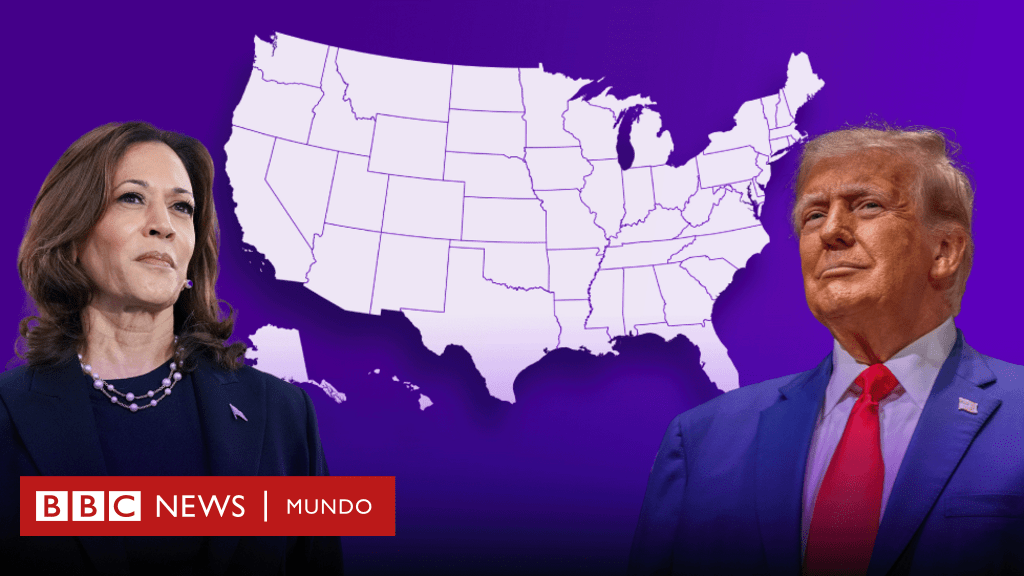 Trump vs Kamala Harris: el gráfico que muestra cómo fue el voto por género, edad, raza y nivel educativo que le dio el triunfo de Trump en las elecciones de EE.UU.