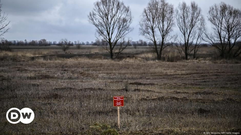 Washington suministrará minas antipersona a Kiev – DW – 20/11/2024