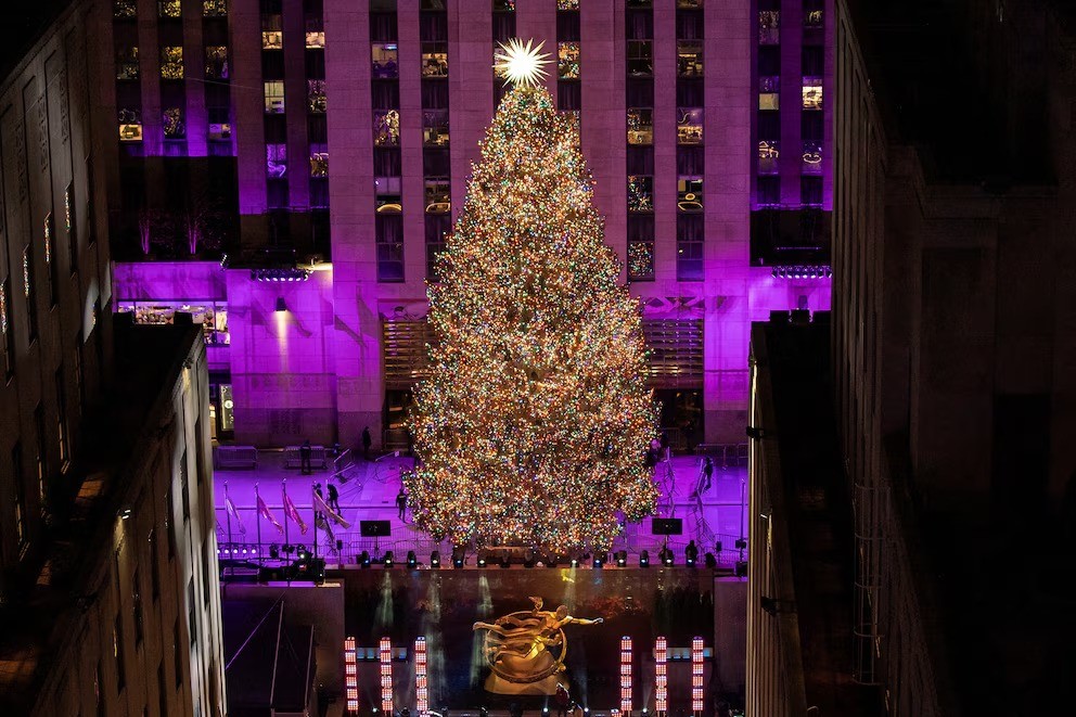 Ya fue elegido el árbol de navidad que será encendido en el icónico Rockefeller Center - AlbertoNews