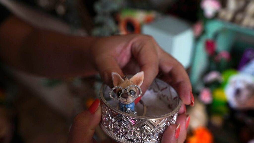 altares del Día de Muertos en México también honran a animales