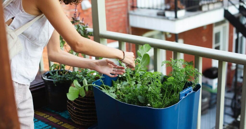 cultiva, comparte y ahorra sin salir de casa