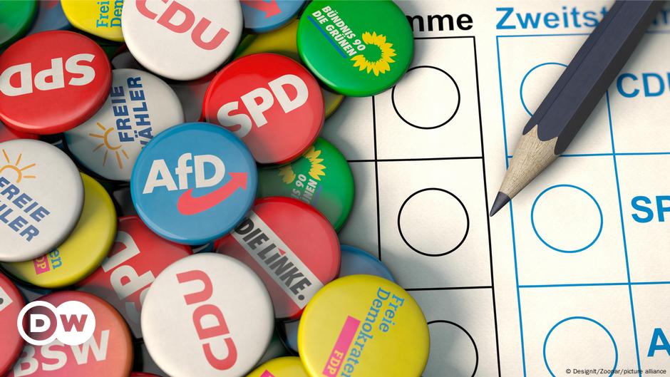 el desafío de organizar elecciones anticipadas – DW – 12/11/2024