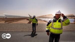un plan para crear empleos verdes – DW – 29/10/2024