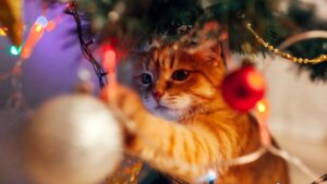¿Cuál es el mejor lugar para poner el árbol de Navidad si tengo un gato?