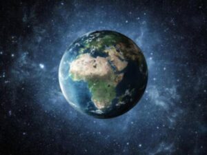¿Cuál sería la nueva especie dominante en la Tierra si el ser humano se extingue? | Finanzas | Economía
