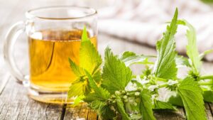 ¿Qué planta ayuda a curarel dolor muscular y aumenta el colágeno?