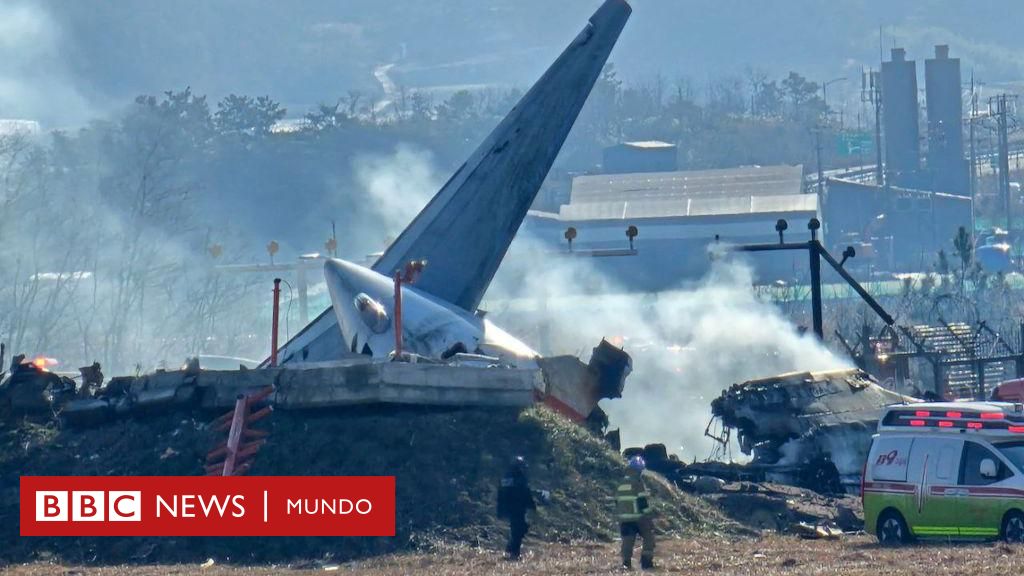 ¿Por qué había un muro al final de la pista en la que ocurrió el accidente de avión en el que murieron 179 personas en Corea del Sur?