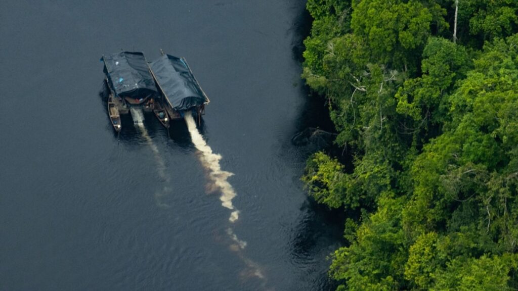 ¿Tesoro envenenado? Los efectos de la extracción ilegal de oro en la Amazonía peruana