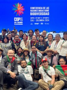 2024: Un año de logros históricos para el ambiente en Colombia
