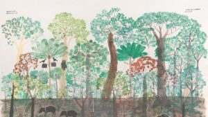 Abel Rodríguez, más que un artista, un sabio de las plantas amazónicas