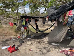 Al menos 20 menores reclutados este año por grupos armados en Colombia fueron asesinados - AlbertoNews