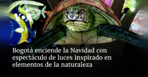 Bogotá enciende la Navidad con espectáculo de luces inspirado en elementos de la naturaleza