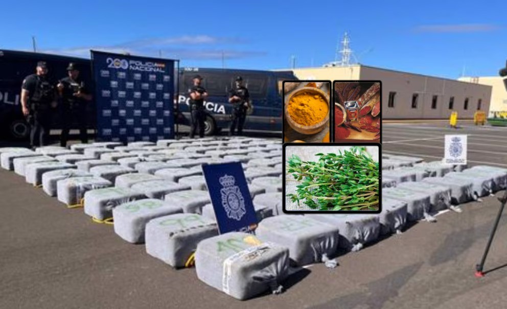 Cae una red de narcotráfico internacional que usaba cúrcuma, pimentón y tomillo para camuflar la cocaína en España - AlbertoNews