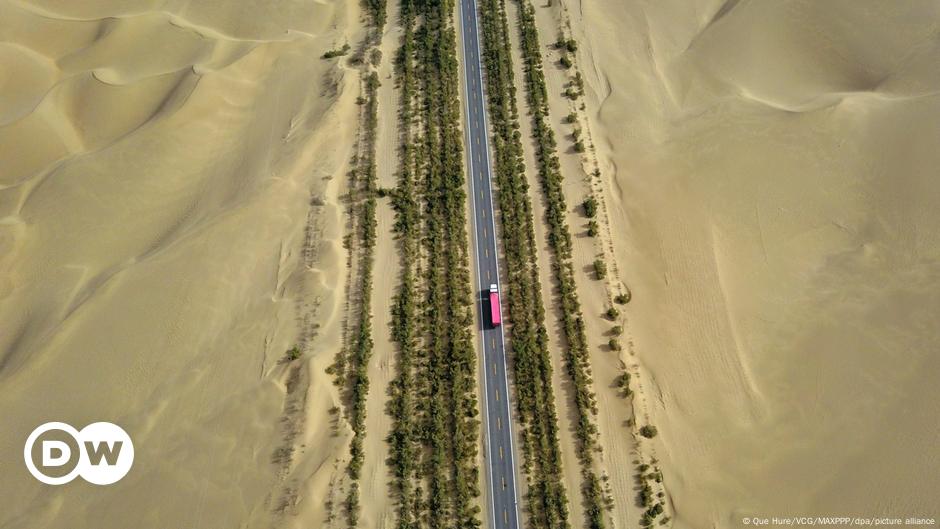 China termina muro forestal de 3.000 km para frenar desierto – DW – 19/12/2024
