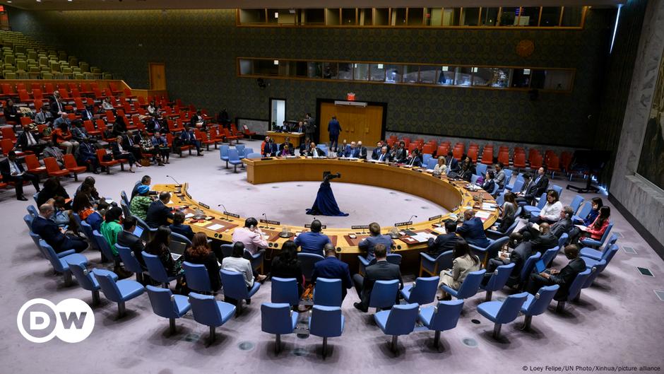 Consejo Seguridad ONU sin avances sobre tema de Siria – DW – 10/12/2024
