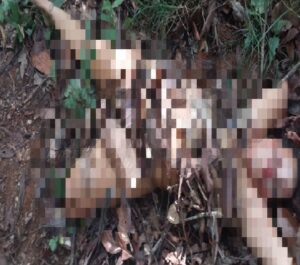 Descubren cuerpo de mujer desnuda y mutilado en sector minero El Foco