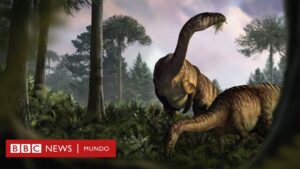 Dinosaurios: qué revelan sus heces y vómitos fosilizado sobre su dominio en la Tierra y el cambio climático