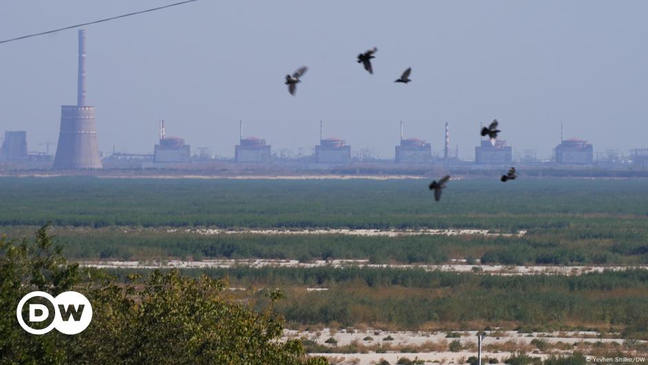 El Ejército ruso toma dos localidades y entra en Zaporiyia – DW – 03/12/2024