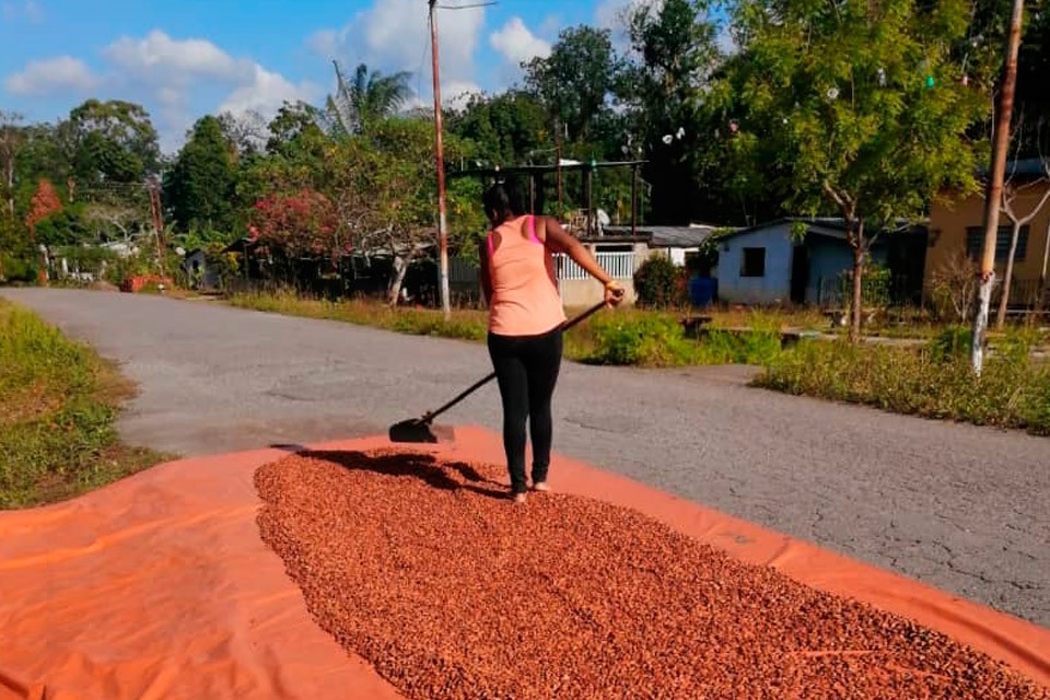 El cacao es la materia prima que más subió de precio en 2024