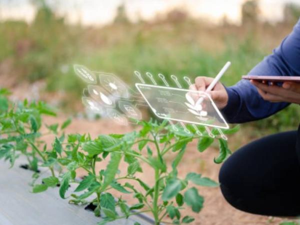 El estado del ecosistema colombiano en el sector agrifoodtech: retos y oportunidades | Agro | Economía