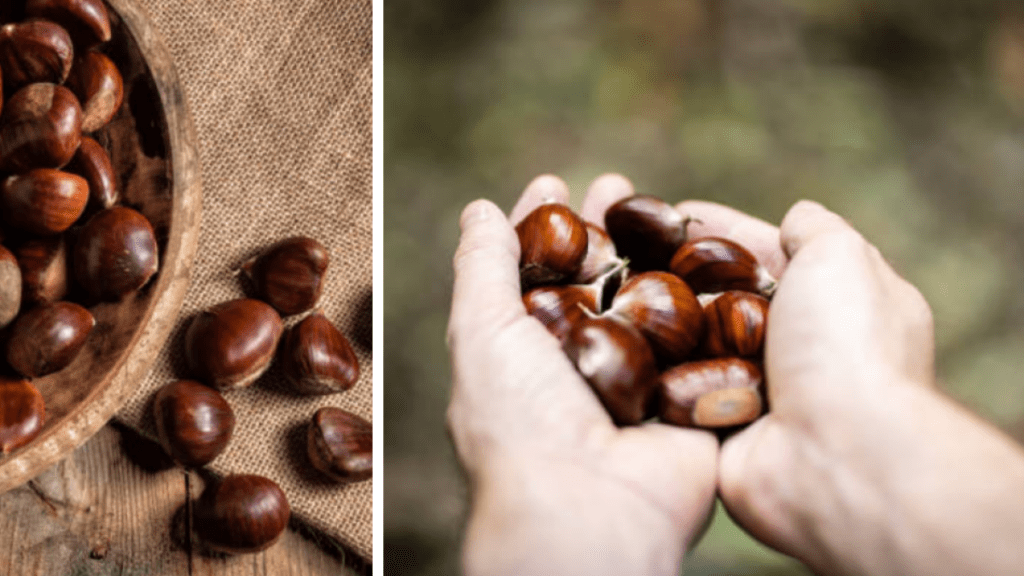 El fruto seco que le ayudará a dormir mejor, eliminar el estreñimiento y a bajar de peso