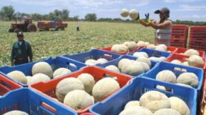 El pago de deuda externa llega a récords en países del Sur en desarrollo : IPS Agencia de Noticias