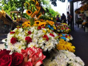 En San José de Galipán ofrecen hermosos arreglos florales