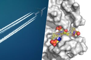 Estamos un paso más cerca de acabar con el 'jet lag'. La clave está en una simple proteína