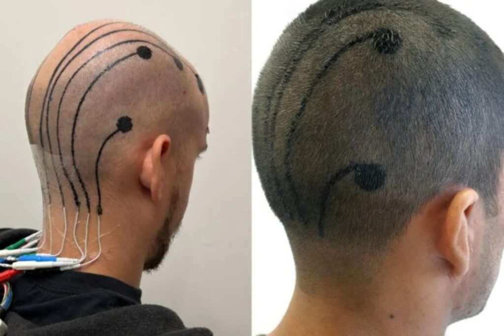 Diseño Sin Título 2024 12 03t175436.701