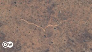 Extraña marca en Google Earth lleva a un hallazgo científico – DW – 04/12/2024