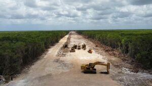 Greenpeace cuestiona a Gobierno mexicano por presunta protección al ambiente con Tren Maya - AlbertoNews
