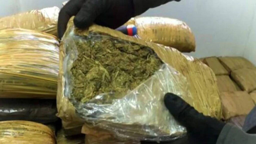 Justicia venezolana condena a un hombre colombiano por traficar cinco kilos de marihuana
