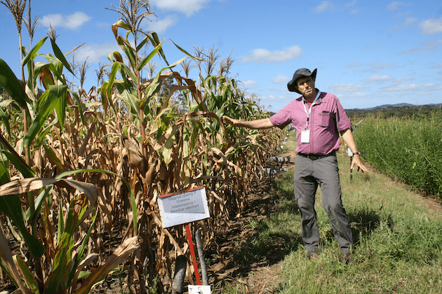 La agricultura de conservación transforma al sector en el sur de África : IPS Agencia de Noticias