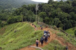 La selva del Darién en 2024: bajan los migrantes y Trump es el nuevo desafío - AlbertoNews