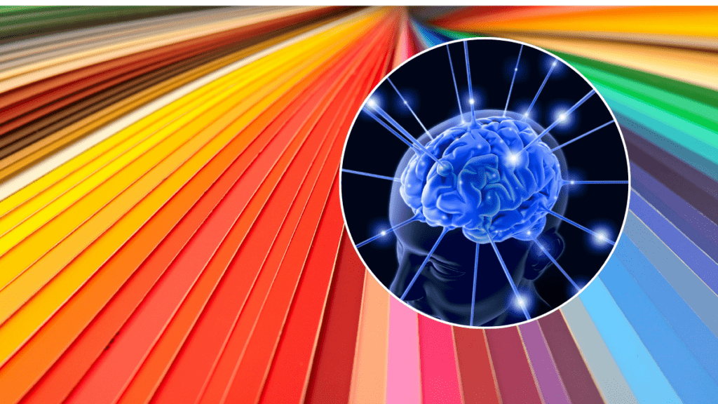 Los colores que eligen las personas menos inteligentes para vestirse, según la IA